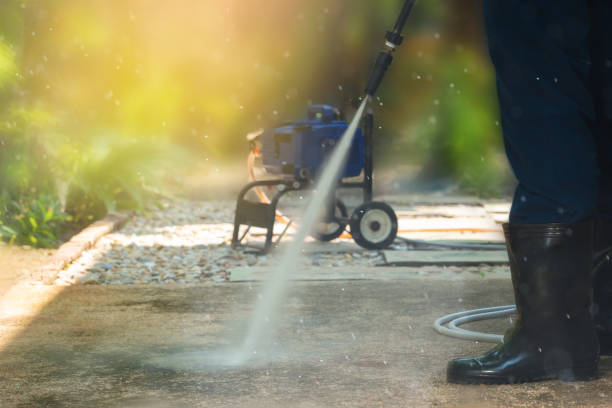 Best Residential Exterior Washing  in Tremont, IL